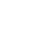 Wooden Institute