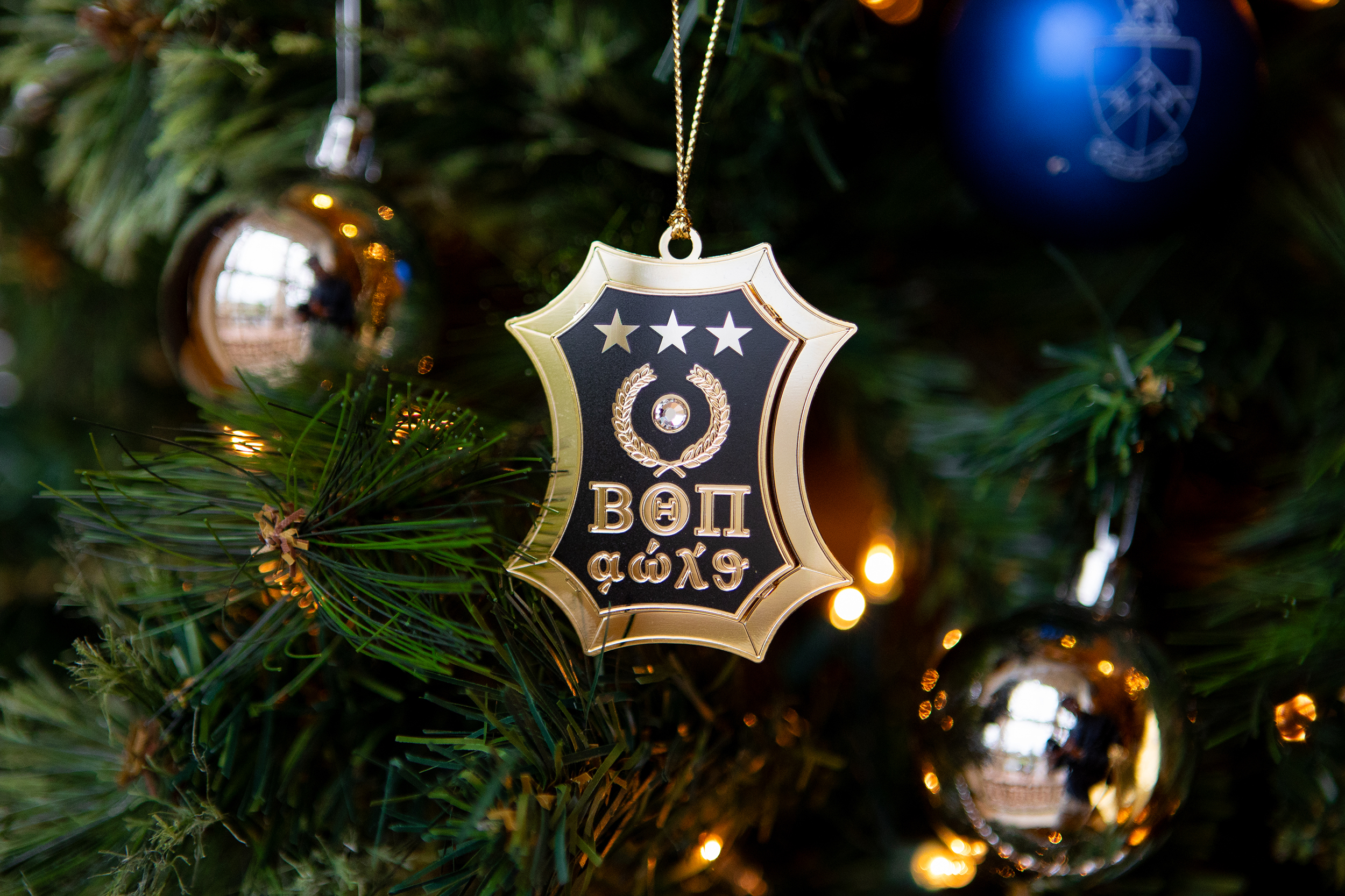 12 Days of Foundation Impact